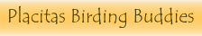 Placitas Birding Buddies